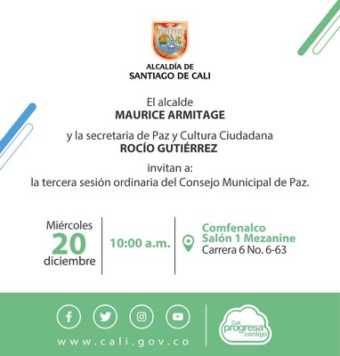 Sesi&oacute;n Consejo Municipal de Paz