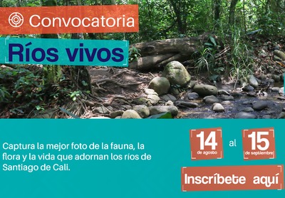 Convocatoria R&iacute;os vivos 