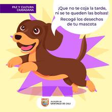 Paseo mascotas
