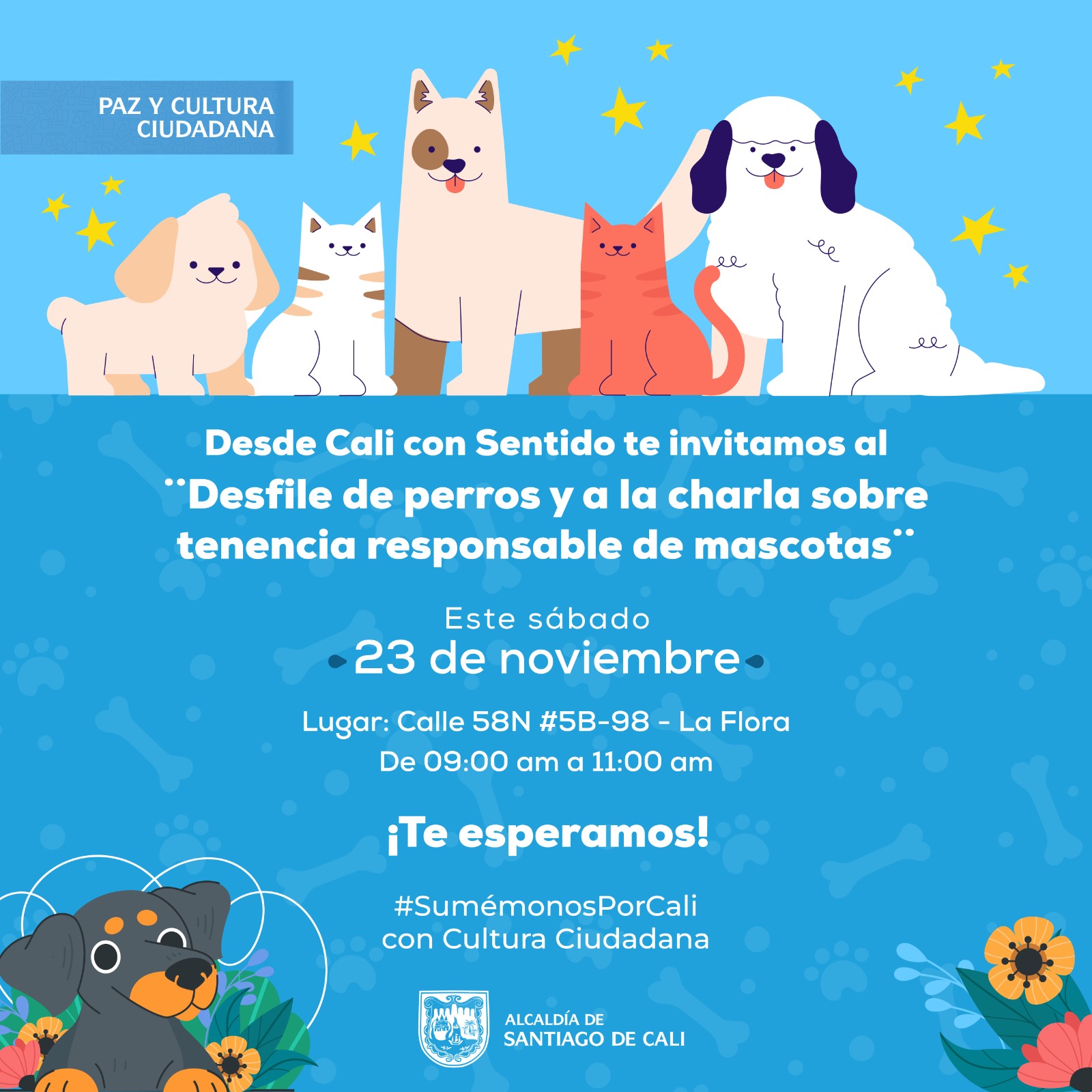 Mascotas