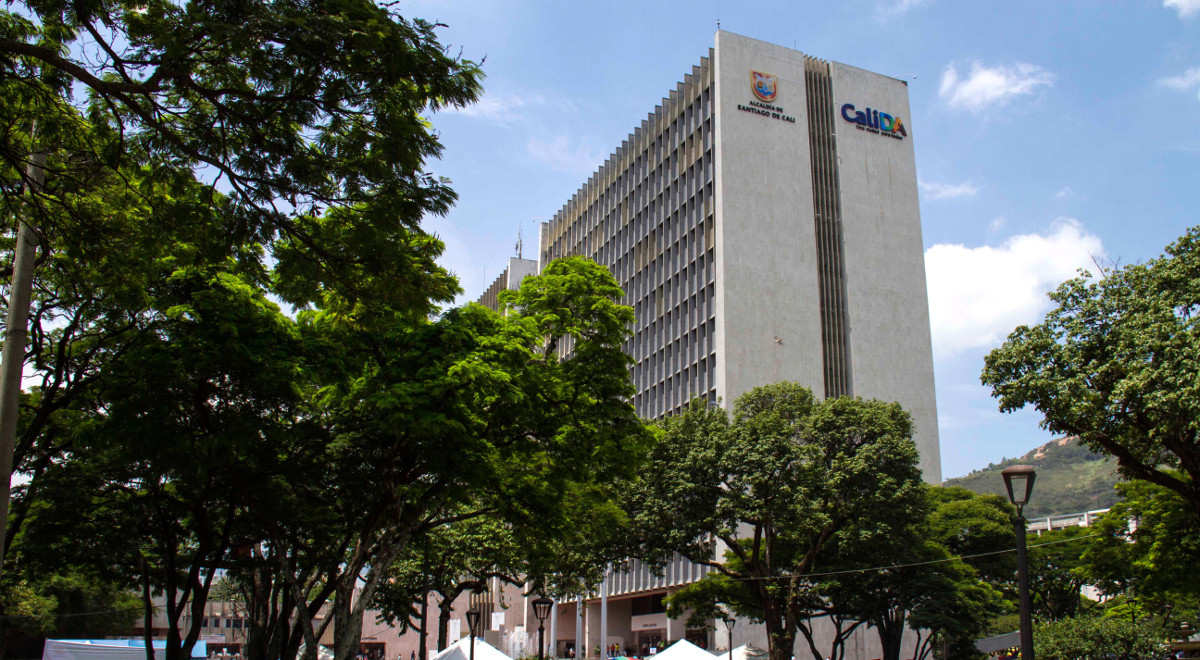 imagen representativa