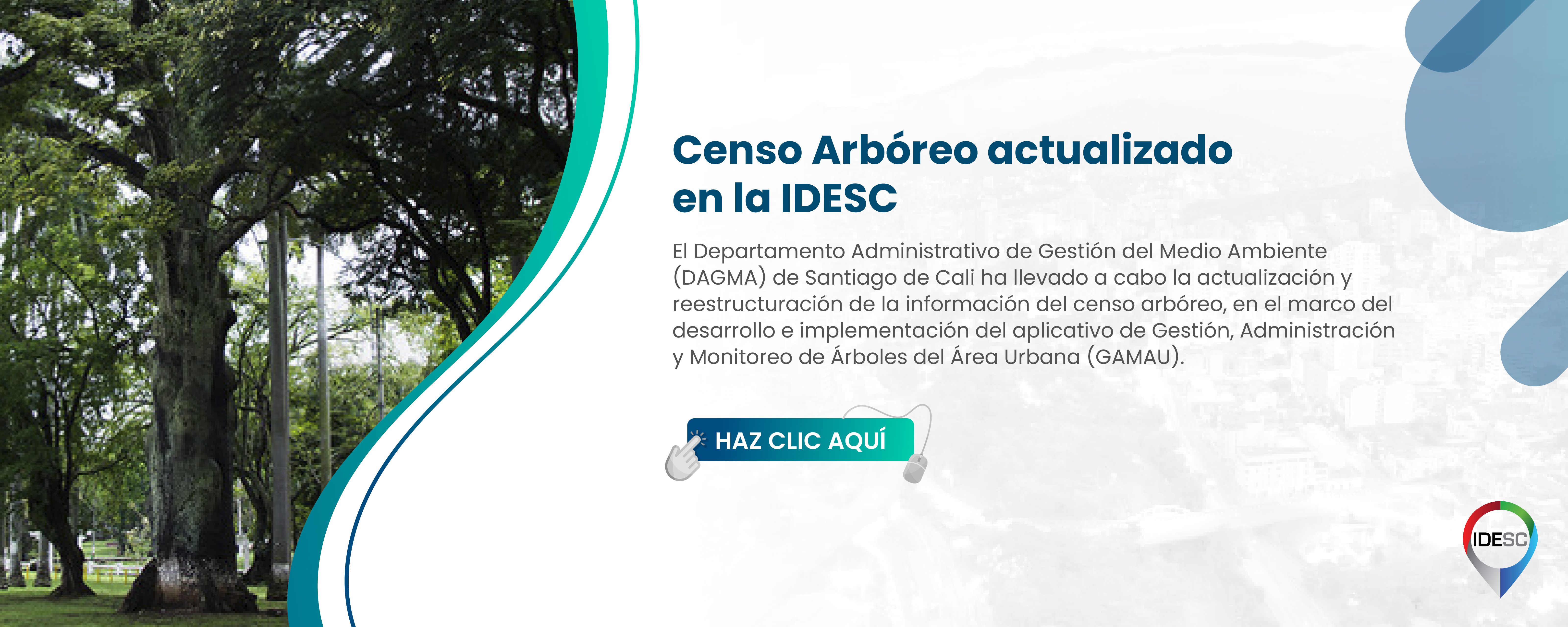 Pieza gráfica que contiene al lado izquierdo una fotografía de un árbol y al costado derecho el título de la noticia y debajo un breve resumen.