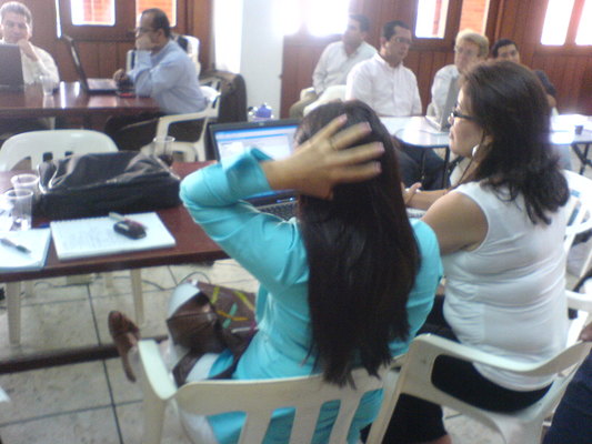 Taller de nivelaci&oacute;n conceptual en IDE