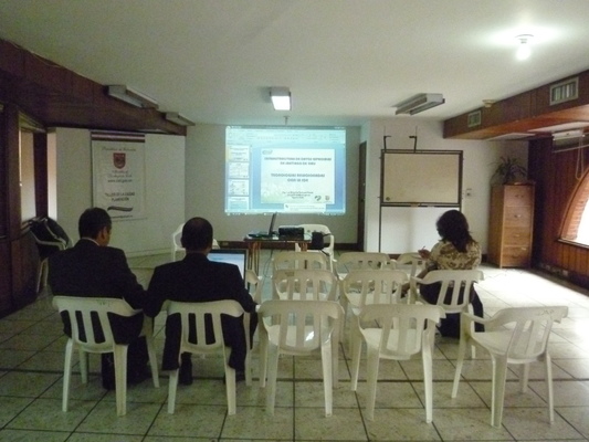 Taller de nivelaci&oacute;n conceptual en IDE