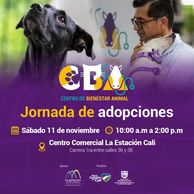 Jornada de adopciones 11 de noviembre 2023  
