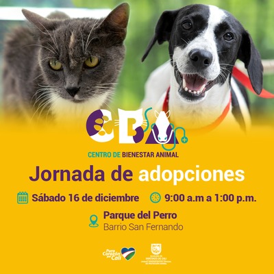 Jornada de adopciones 16 de diciembre 2023  