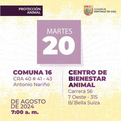 Jornada de esterilizaci&oacute;n Centro de Bienestar Animal