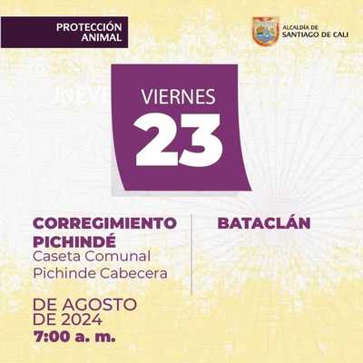 Jornada de esterilizaci&oacute;n Corregimiento Pichinde