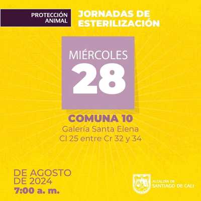 Jornadas de esterilizaci&oacute;n Comuna 10 &ndash; Galer&iacute;a Santa Elena Cl 25 entre Cr 32 y 34 