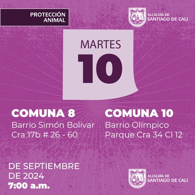 Jornadas de Esterilizaci&oacute;n  10/09/2024