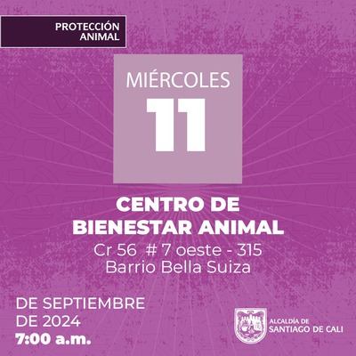 Jornadas de Esterilizaci&oacute;n  11/09/2024