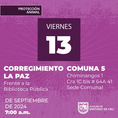Jornadas de Esterilizaci&oacute;n  13/09/2024