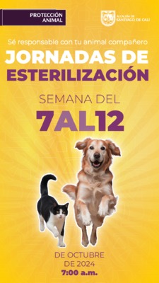 Jornadas de esterilizacion del 7 al 12 de octubre de 2024