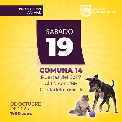 Jornada de estetizaci&oacute;n 19 de octubre de 2024