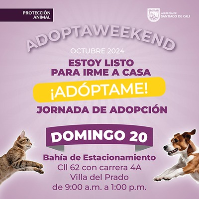 Jornada de adopci&oacute;n 20 de octubre de 2024 