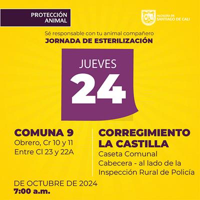 Jornadas de Esterilizaci&oacute;n 24 de octubre de  2024