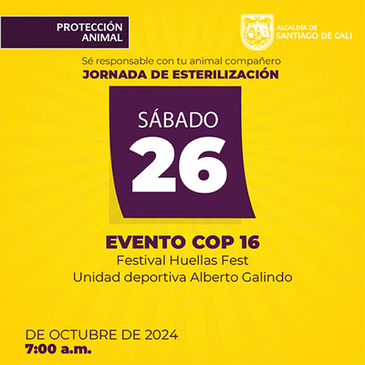 Jornadas de Esterilizaci&oacute;n 26 de octubre de  2024