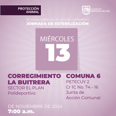 Jornada de esterilizaci&oacute;n 13 de noviembre de 2024