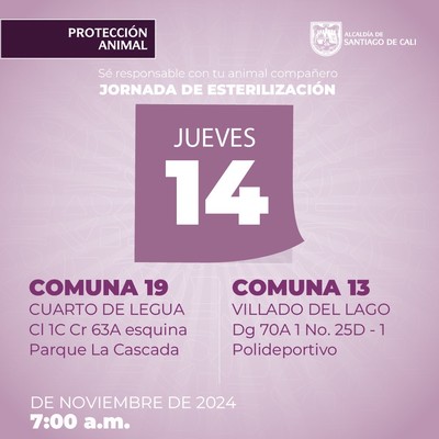 Jornada de esterilizaci&oacute;n 14 de noviembre de 2024