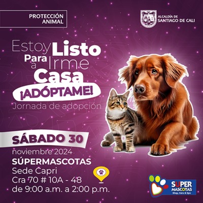Jornada de adopci&oacute;n 30 de noviembre de 2024