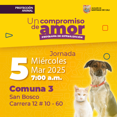 Jornada de estilizaci&oacute;n Comuna 3 - San Bosco - Cr. 12 # 10 - 60 - 05/03/2025