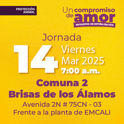 Jornada de Estetizaci&oacute;n 14 de marzo de 2025 - Comuna 2 Brisas de los &Aacute;lamos Av. 2N # 75CN -03 Frente a la plata de EMCALI