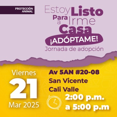 Jornada de Adopci&oacute;n