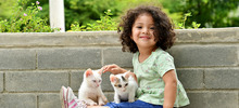 30 animales buscan un nuevo hogar que les brinde amor y protecci&oacute;n
