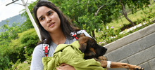 30 animales buscan un nuevo hogar que les brinde amor y protecci&oacute;n