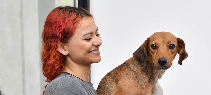 Perros adultos buscan la oportunidad de un nuevo hogar