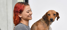 Cali realizar&aacute; aportes a la Pol&iacute;tica Nacional de Protecci&oacute;n y Bienestar Animal