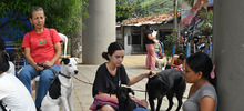 Esterilizar: un acto de amor por los animales de compa&ntilde;&iacute;a