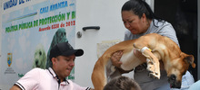 Esterilizar: un acto de amor por los animales de compa&ntilde;&iacute;a