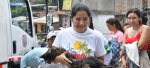 Esterilizar: un acto de amor por los animales de compa&ntilde;&iacute;a