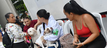 Esterilizar: un acto de amor por los animales de compa&ntilde;&iacute;a