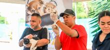 Animales del barrio El Piloto recibieron atenci&oacute;n en su espacio