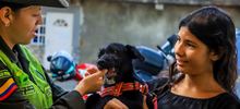 Animales del barrio El Piloto recibieron atenci&oacute;n en su espacio