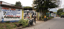 Animales de Pance fueron esterilizados durante jornada en La Vor&aacute;gine