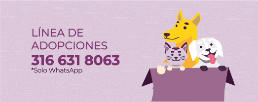 Adopciones 