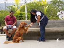 Cali celebr&oacute; el D&iacute;a Mundial de los Animales con servicios gratuitos para los consentidos del hogar