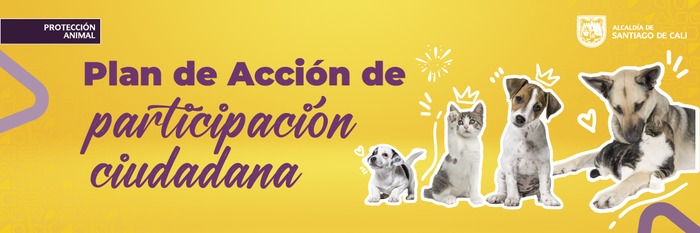Plan de acci&oacute;n de participaci&oacute;n ciudadana 2024