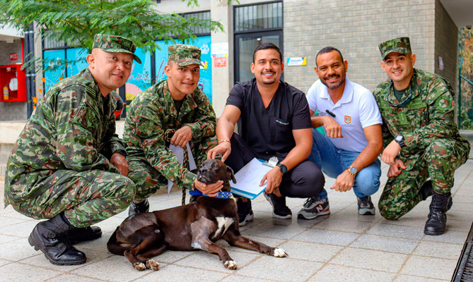 &lsquo;Negrita&rsquo;, la perrita atropellada que fue salvada por soldados del Ej&eacute;rcito  y profesionales del Centro de Bienestar Animal de Cali