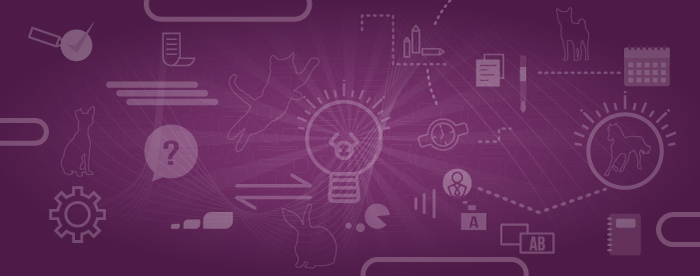 Planes, programas y proyectos