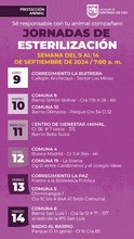 &iexcl;Jornadas de Esterilizaci&oacute;n Gratuitas en Cali! 