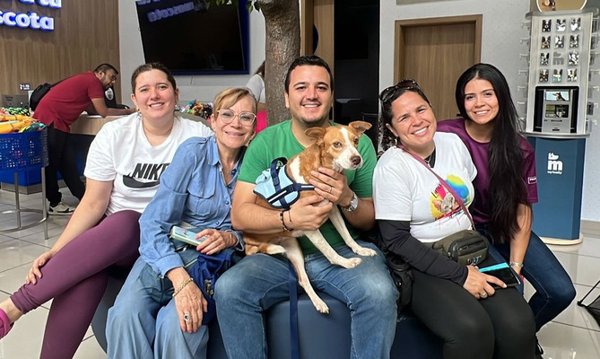 Jornadas de Adopci&oacute;n del Centro de Bienestar Animal este 19 y 20 de octubre