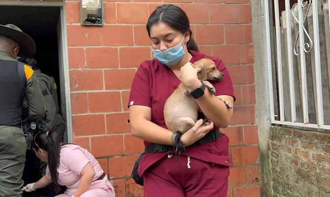 Cinco perros rescatados del maltrato en Potrero Grande: Protecci&oacute;n Animal impone sanciones