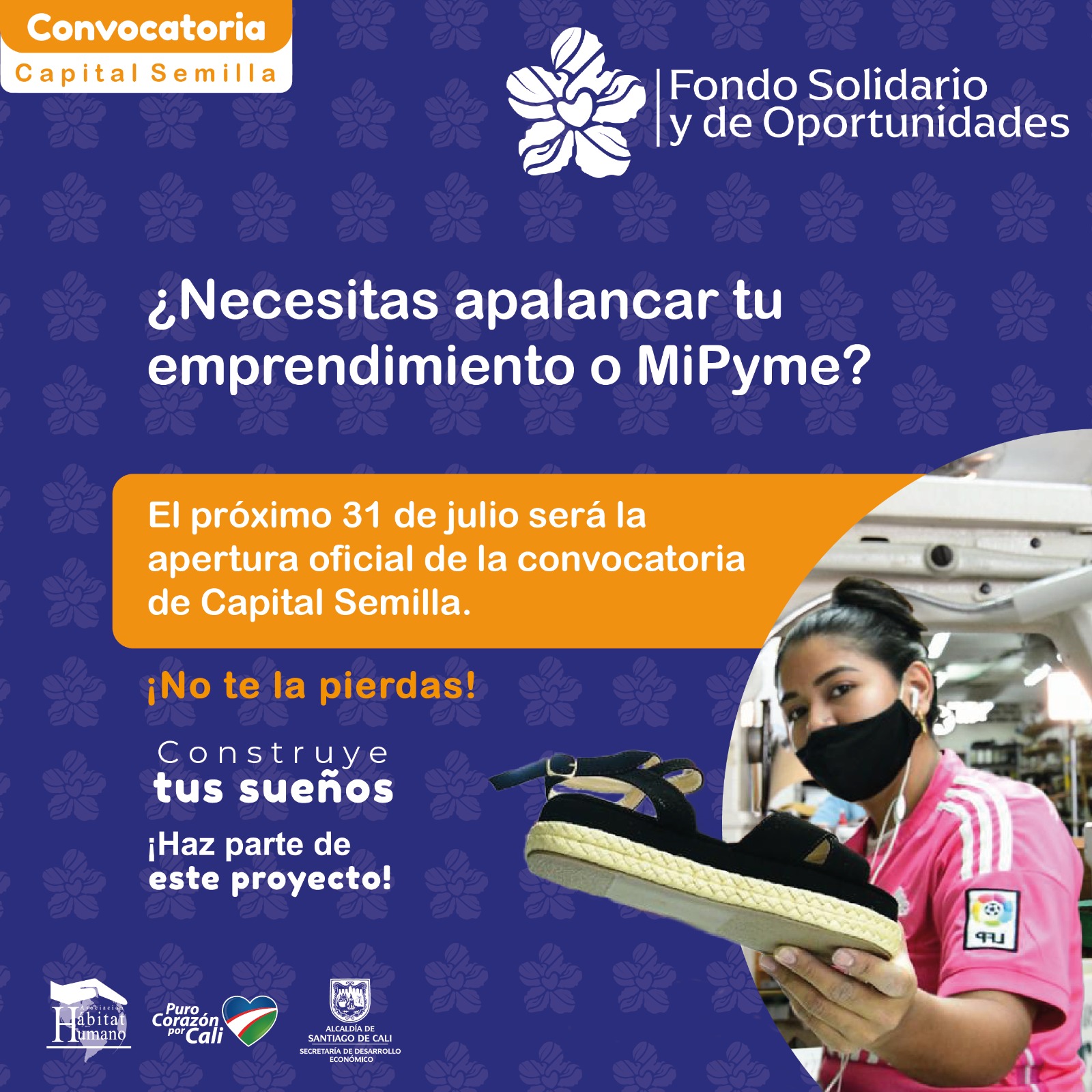 imdesa imdesa