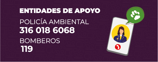 Entidad de apoyo Entidad de apoyo