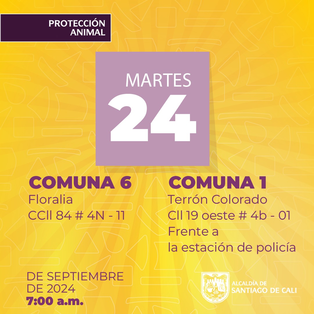 Protección Animal anuncia semana de esterilizaciones gratuitas en Cali Protección Animal anuncia semana de esterilizaciones gratuitas en Cali