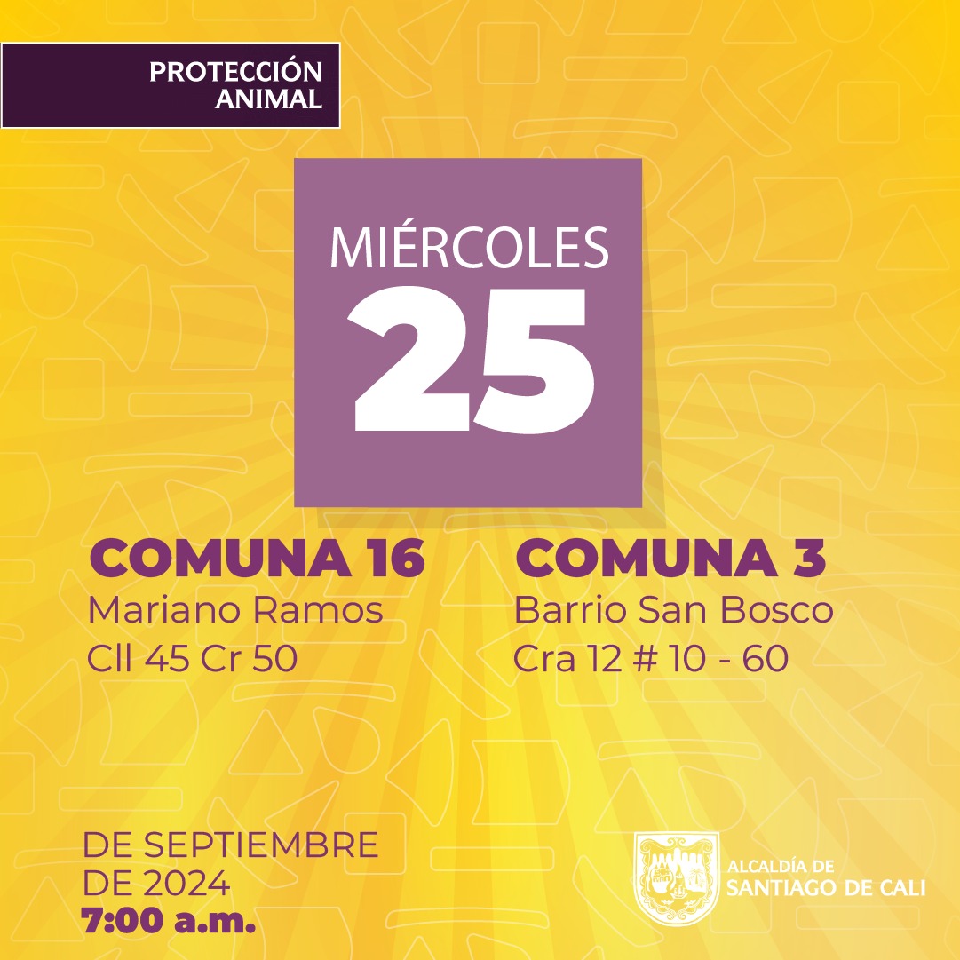 Protección Animal anuncia semana de esterilizaciones gratuitas en Cali Protección Animal anuncia semana de esterilizaciones gratuitas en Cali